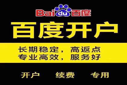 百度SEM代运营案例解析：精准锁定目标客户